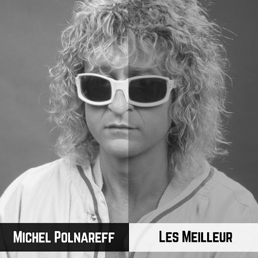 Michel_Polnareff-Les_Meilleur-WEB-FR-2019-OND 00-mic13