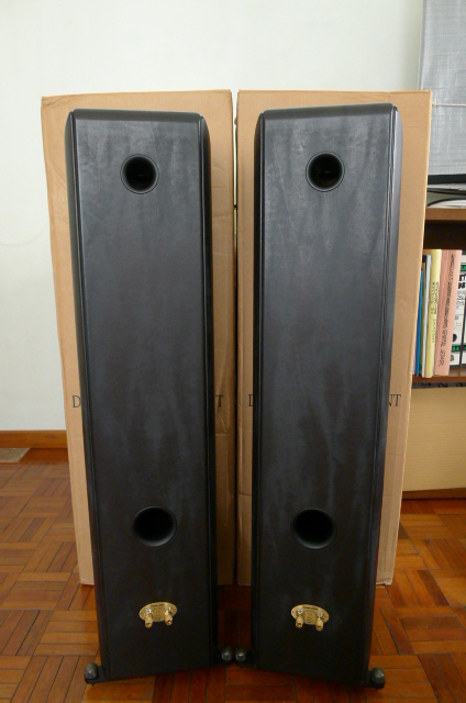 Sonus Faber Toy Tower floorstanding speakers (sold) P1070012