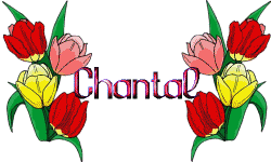 TRES JOYEUX ANNIVERSAIRE CHANTAL (CBM) Chanta11