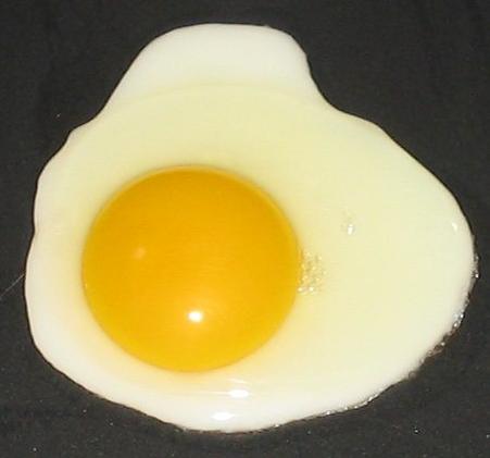 Di Balik Kolesterol Tingginya, Telur Terbaik untuk Sarapan Telorr10