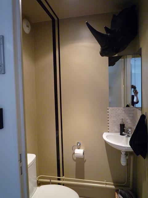 Mes WC tout simplement en photos Pp105013