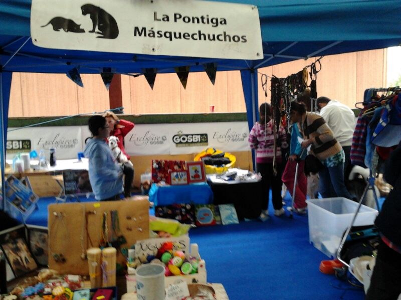 Stand en El Asturcón - Exposición nacional e internacional C.A.C.- C.A.C.I.B. Img-2021