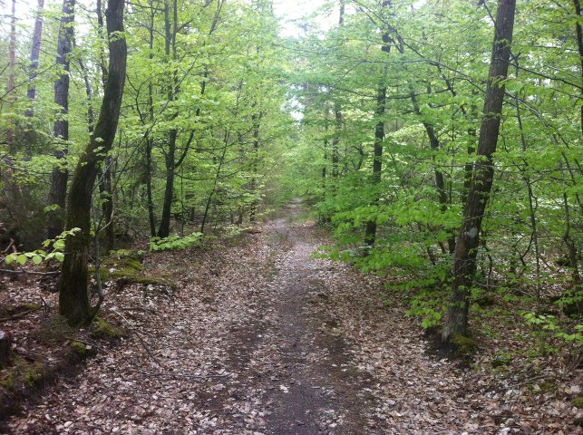 Week-end du 04/05 2013 Vtt_0510