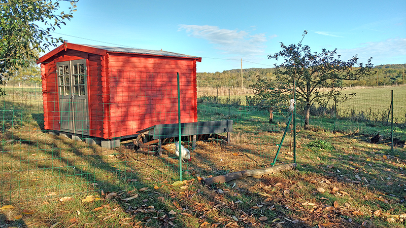 Nouveau poulailler Chalet10