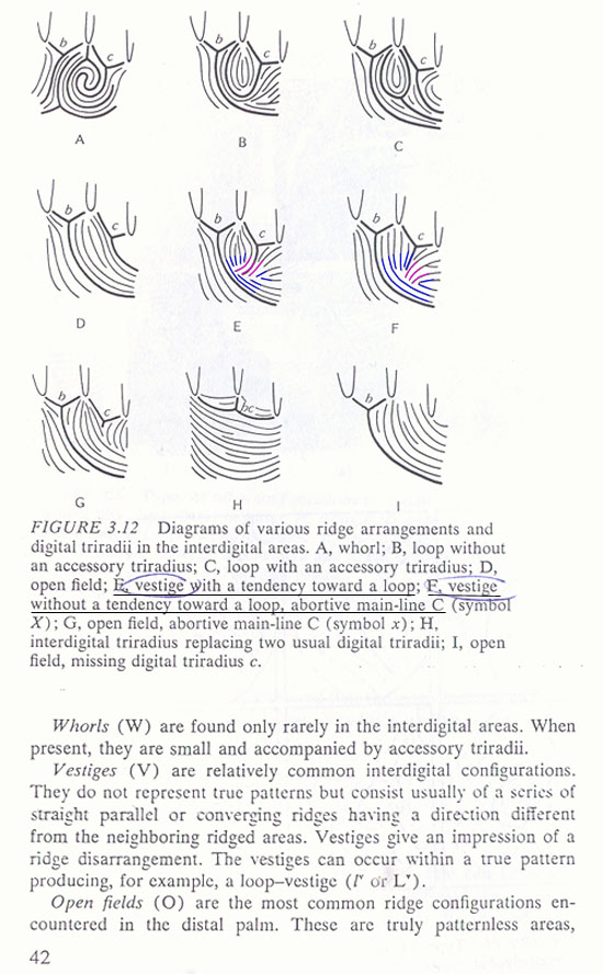 Is this a comb pattern or no pattern in mercury mount  - Page 2 Vestig11