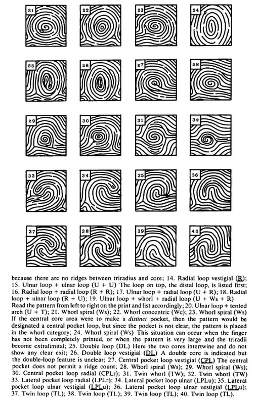 Is this a comb pattern or no pattern in mercury mount - Page 2 Vestig13