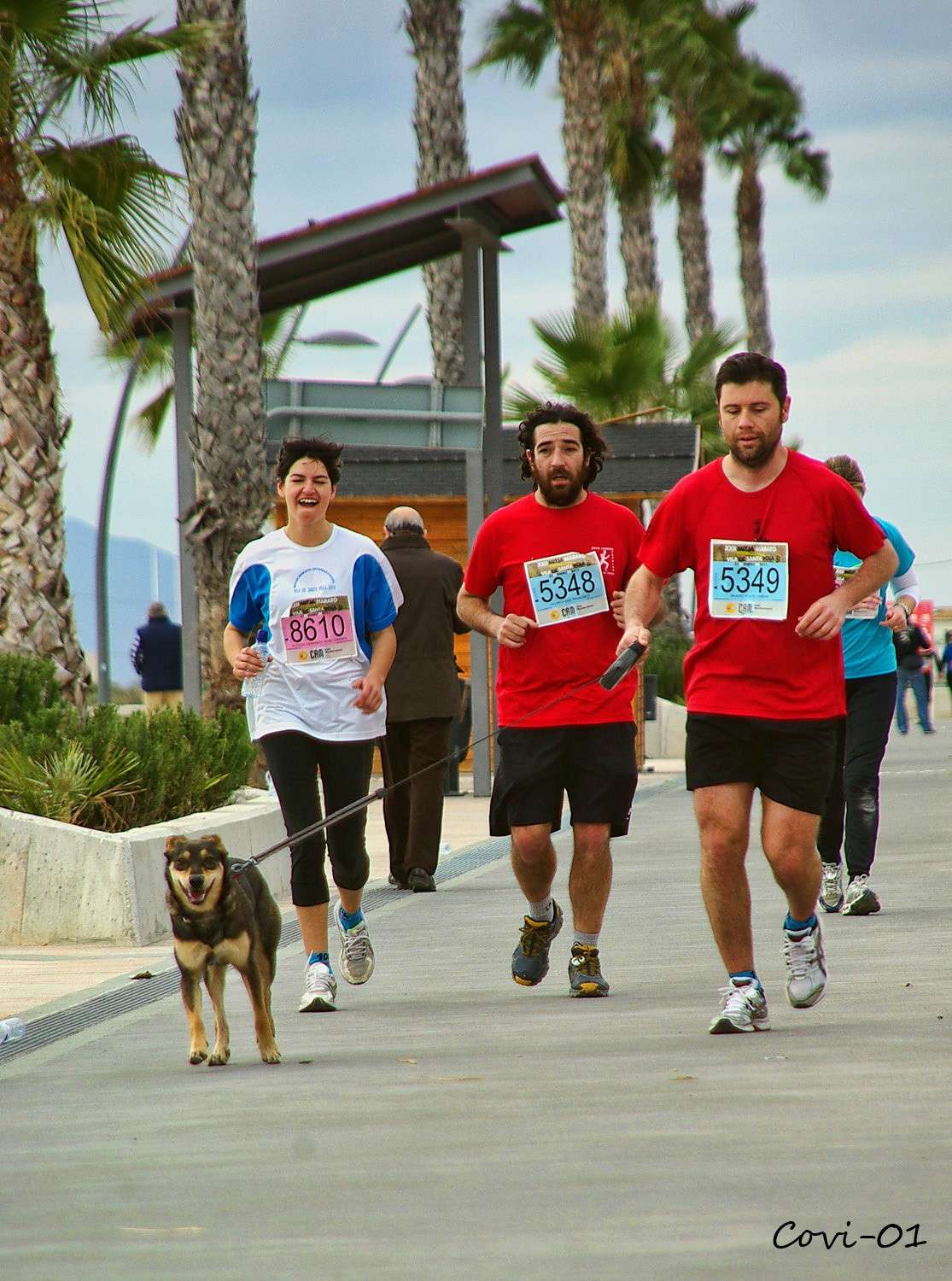 Perros en la Media Maratón 7-210
