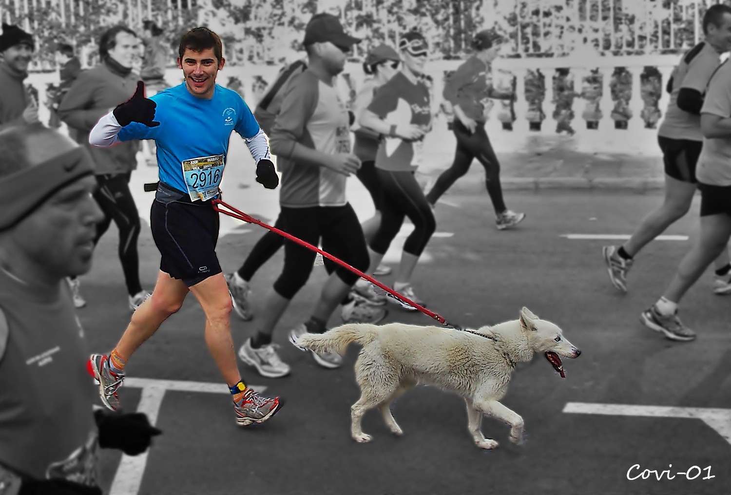 Perros en la Media Maratón 711