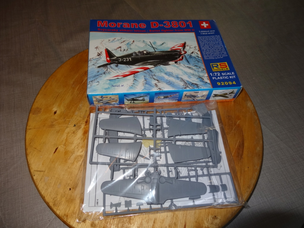 Morane D-3801 / RS model Dsc09313