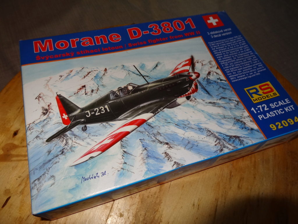 Morane D-3801 / RS model Dsc09316