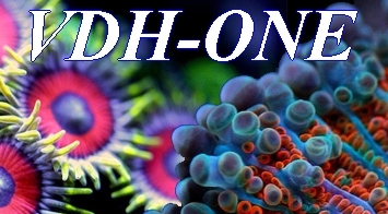 Nouveau  Lige: VDH-ONE Vdhone10