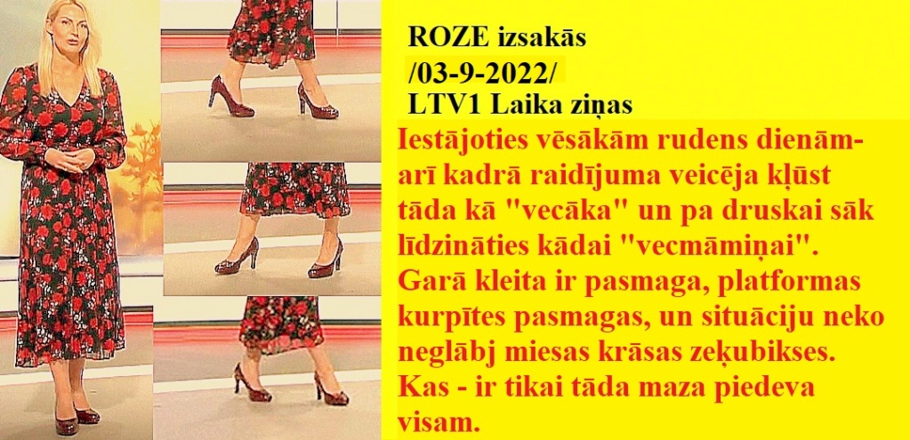 Latvijas publiskās zeķubikses - vērtē Roze Roze0310