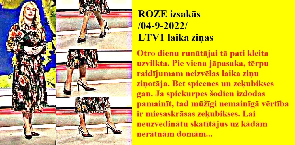 Latvijas publiskās zeķubikses - vērtē Roze Roze0410