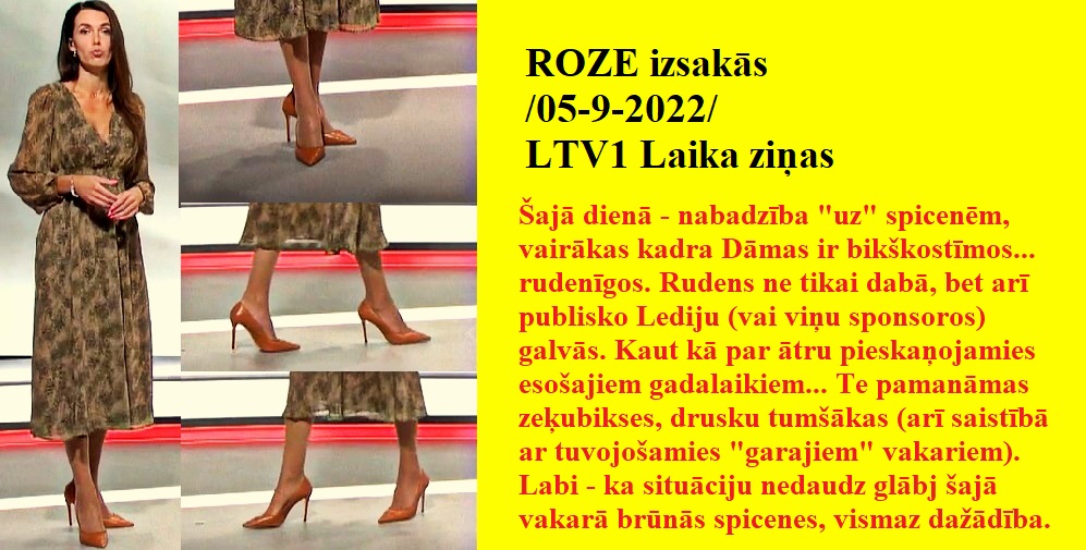 Latvijas publiskās zeķubikses - vērtē Roze Roze0510