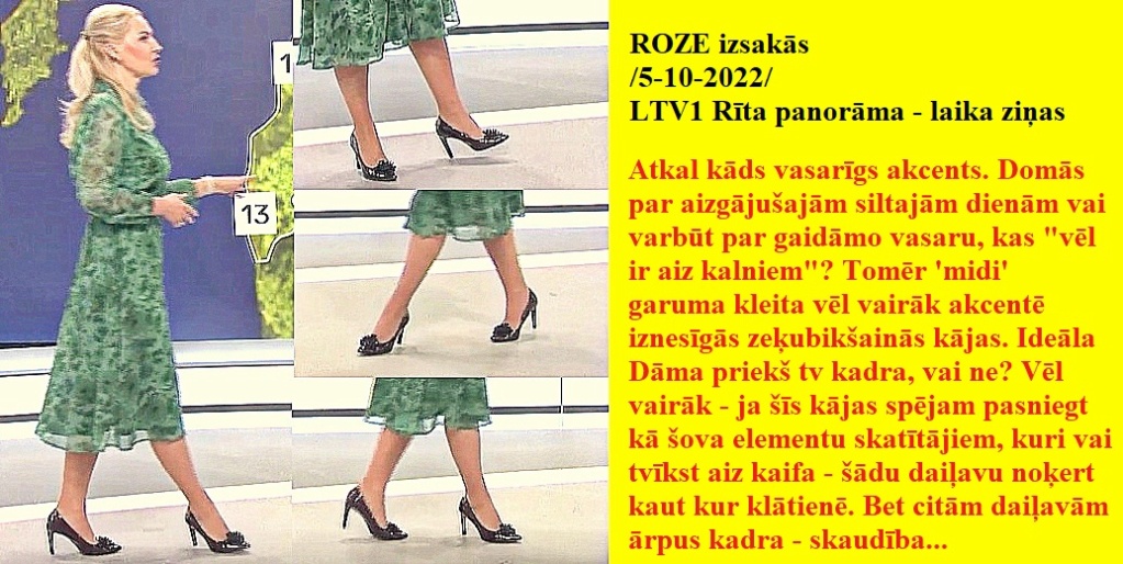 Latvijas publiskās zeķubikses - vērtē Roze - Page 2 Roze0511