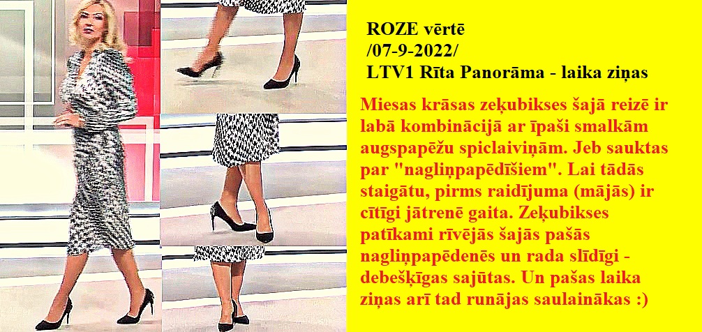 Latvijas publiskās zeķubikses - vērtē Roze Roze0710