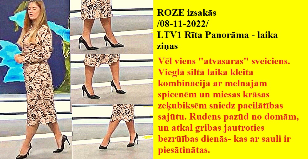 Latvijas publiskās zeķubikses - vērtē Roze - Page 3 Roze0810