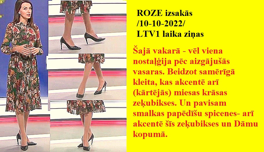 Latvijas publiskās zeķubikses - vērtē Roze - Page 2 Roze1010