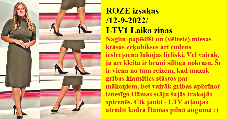 Latvijas publiskās zeķubikses - vērtē Roze Roze1210