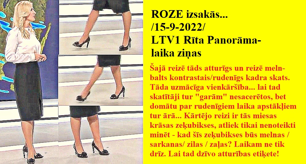 Latvijas publiskās zeķubikses - vērtē Roze Roze1510