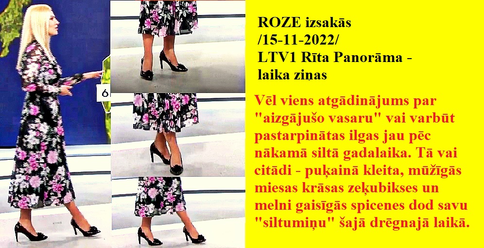 Latvijas publiskās zeķubikses - vērtē Roze - Page 3 Roze1511