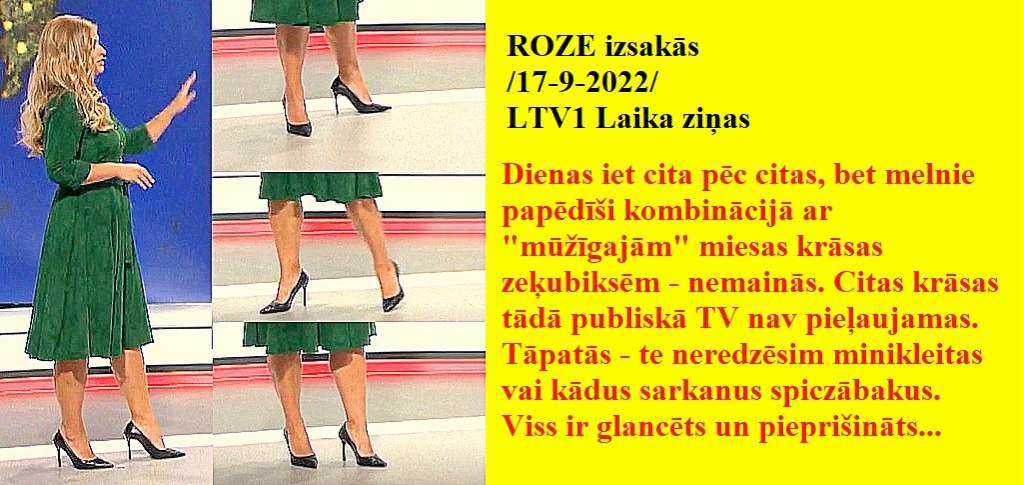 Latvijas publiskās zeķubikses - vērtē Roze Roze1710