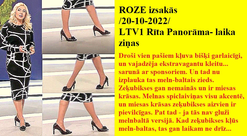 Latvijas publiskās zeķubikses - vērtē Roze - Page 2 Roze2011