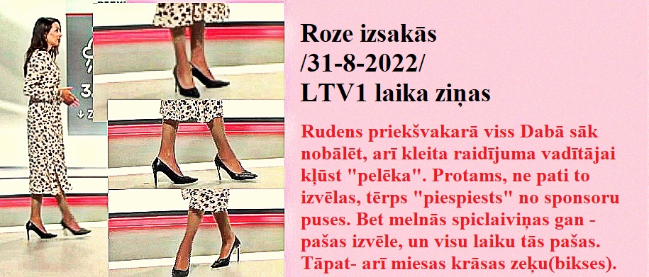 Latvijas publiskās zeķubikses - vērtē Roze Roze3110