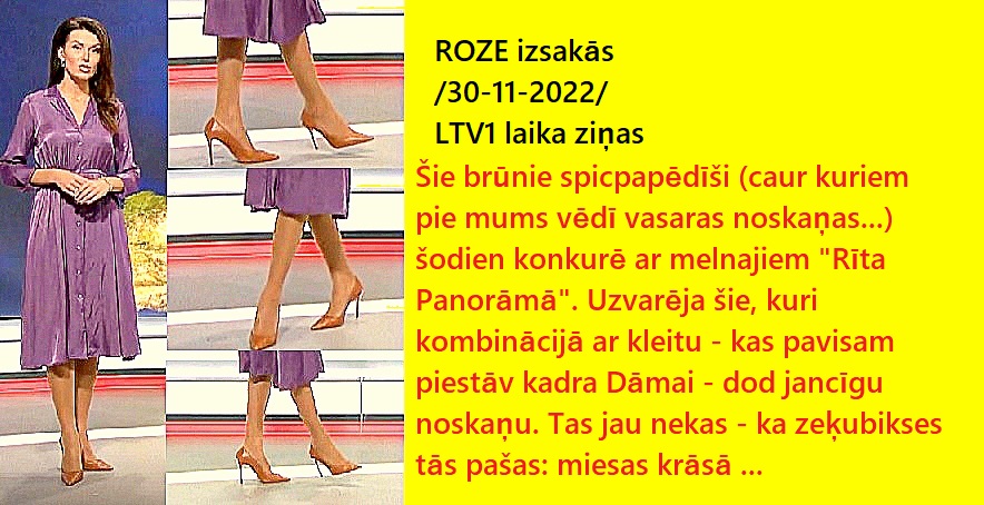 Latvijas publiskās zeķubikses - vērtē Roze - Page 4 Roze_i12