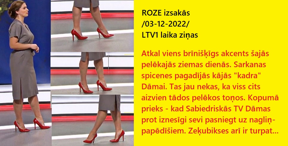 Latvijas publiskās zeķubikses - vērtē Roze - Page 4 Roze_i14