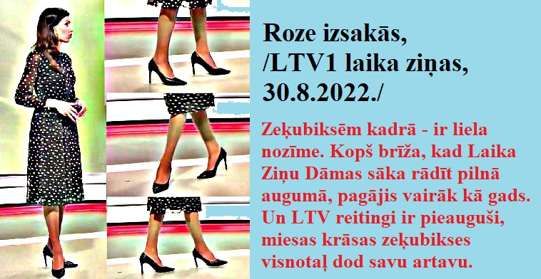 Latvijas publiskās zeķubikses - vērtē Roze Wetg10