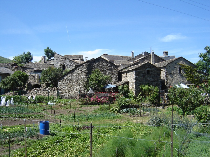 Petit hameau de Bardou dans le 34 05_dou13