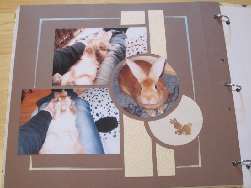 Mon Album Scrapbooking sur mes lapins [fiche scrapbooking + nouvelles pages de scrap p.4] - Page 3 Img_2620