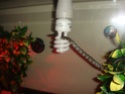 Mon lampro :) Dsc02611