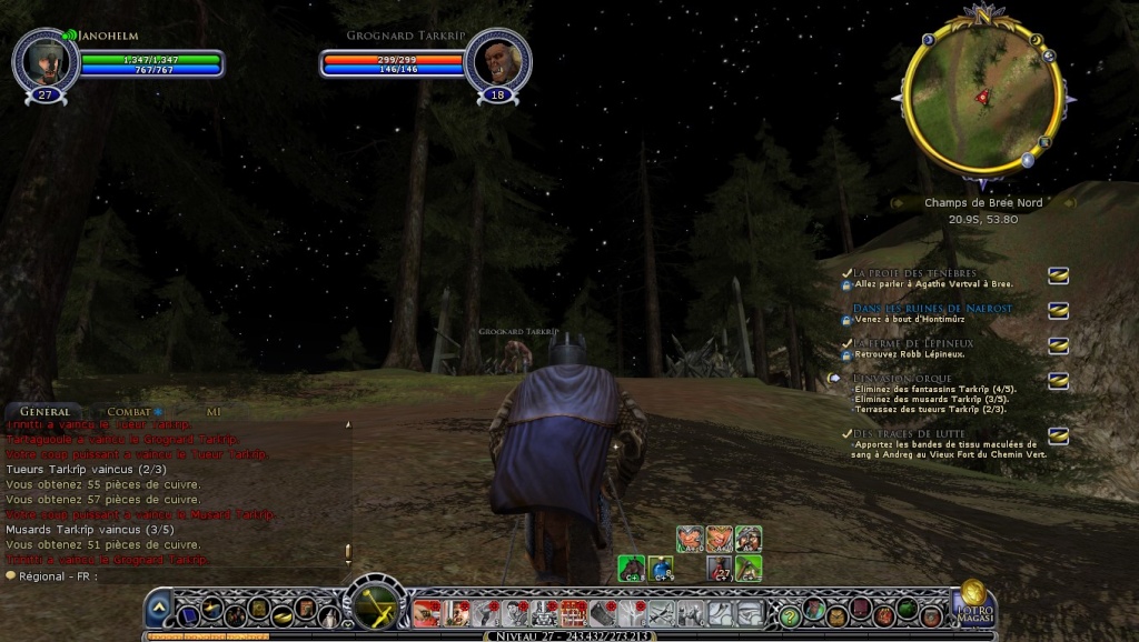 Screen de LOTRO Screen27