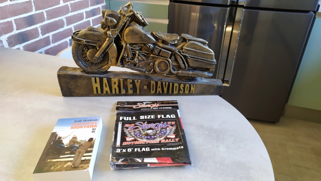 Drapeau Harley-Davidson Img_2010
