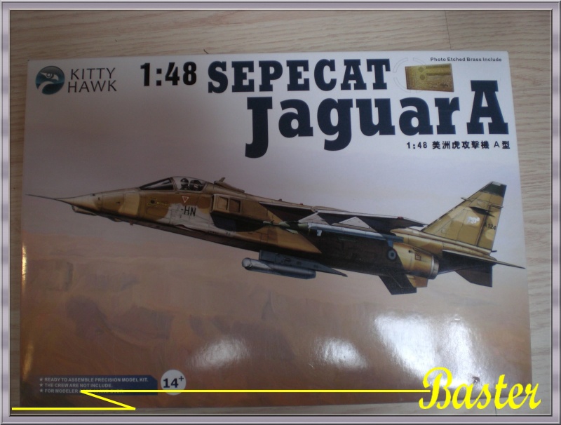 Jaguar 1/48 kittyhawk Cimg0010