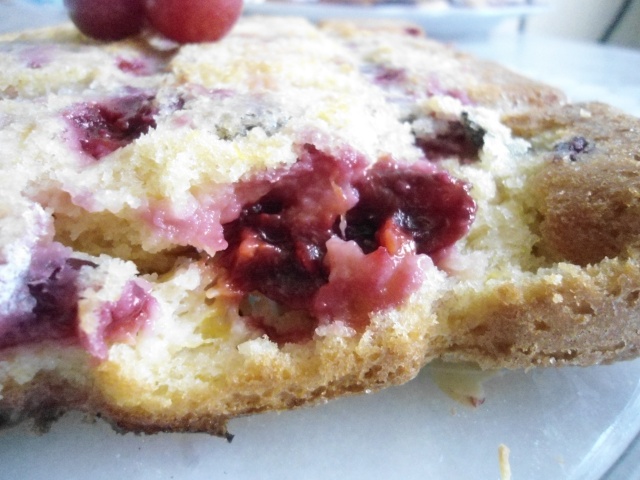 Gâteau aux prunes et amandes Dsc04723