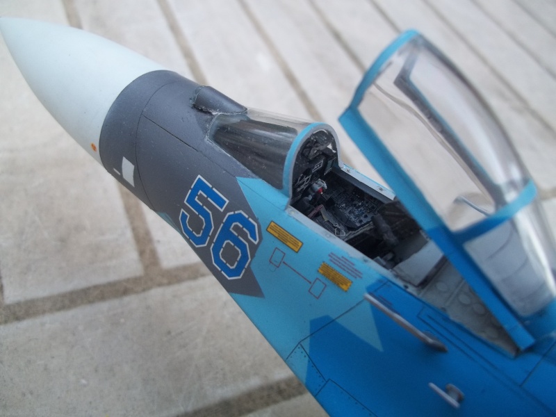 Su-27 Flanker B Ukrainian Air Force Eduard 1/48e  100_1218