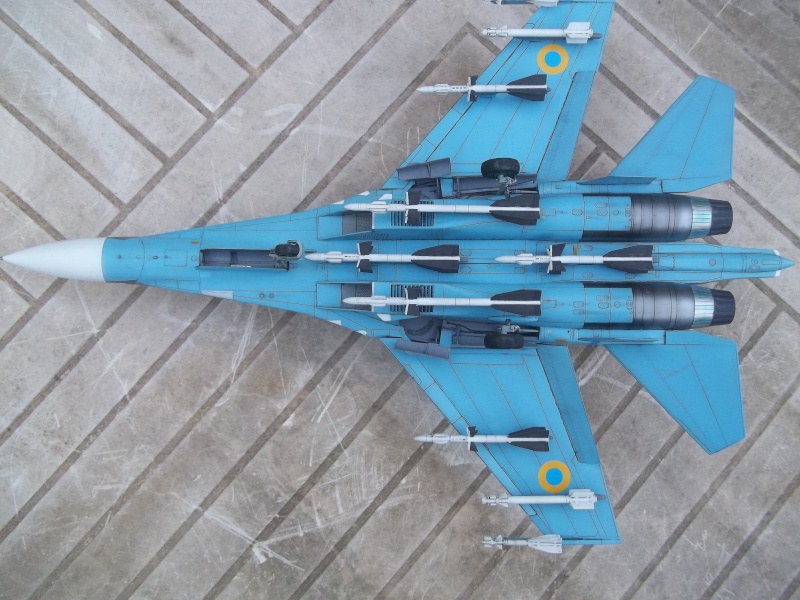 Su-27 Flanker B Ukrainian Air Force Eduard 1/48e  100_1219