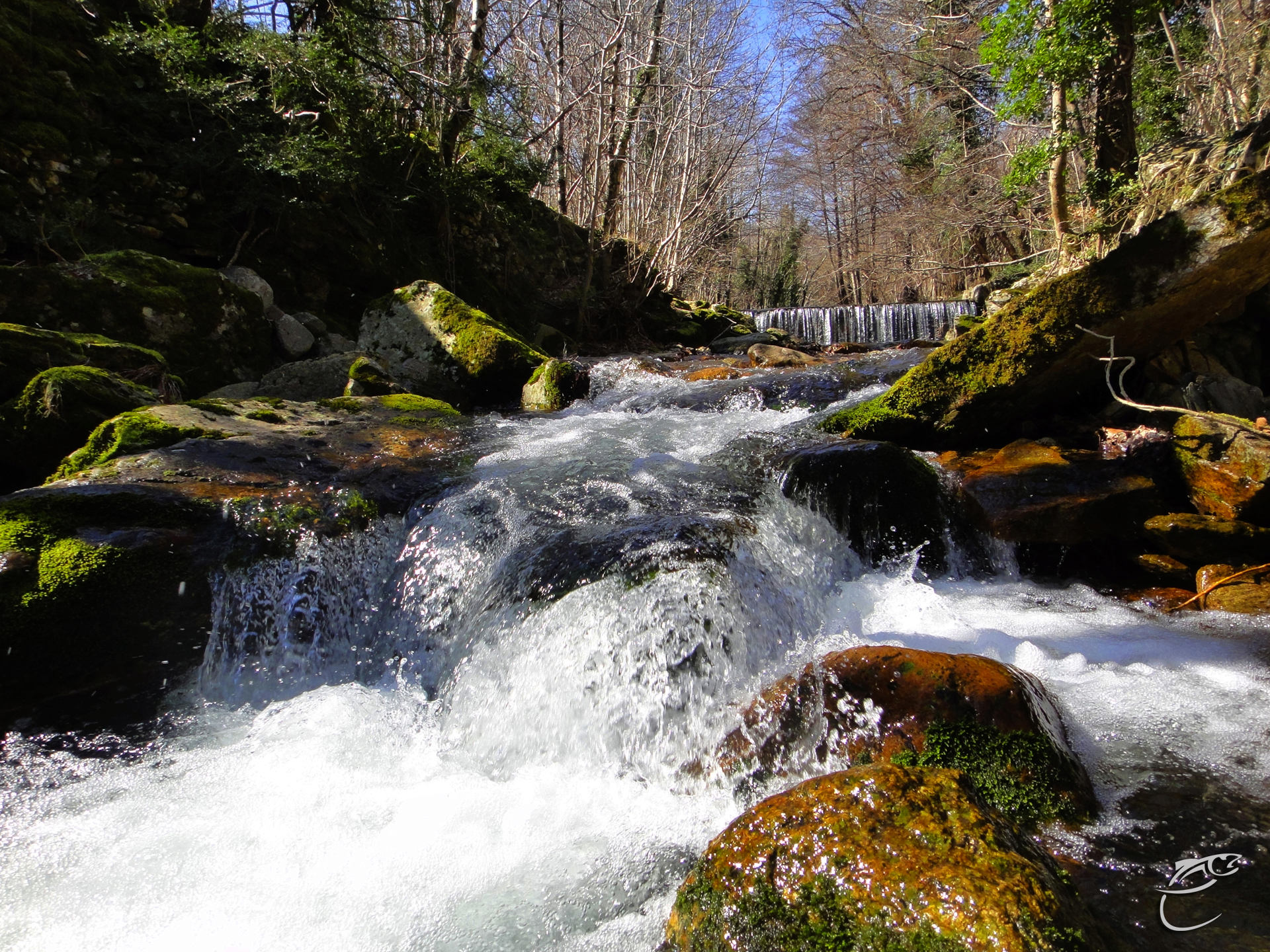 Concours photo du mois de mars Dsc01514