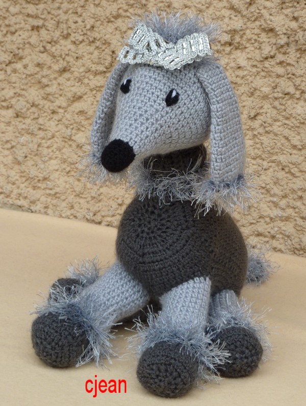 Mon Caniche gris Canich11