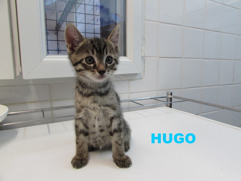 HUGO dit UPSI Hugo10