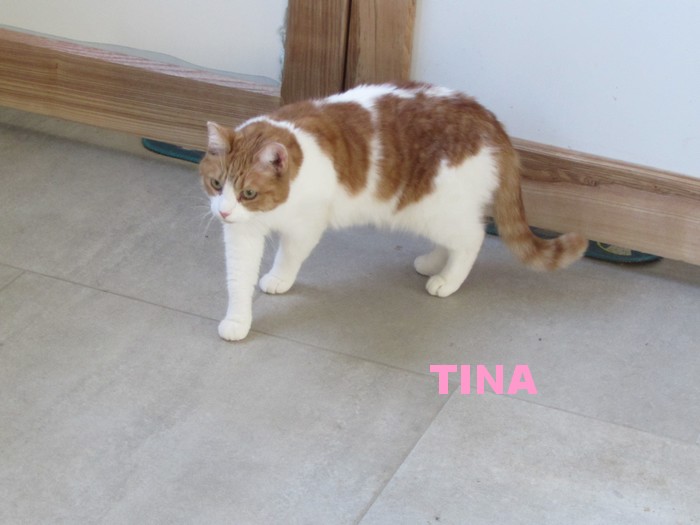 TINA ..... Tina13
