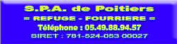 BOLERO  -  Terre Neuve  7 ans  -  SPA  DE  POITIERS  (86) Siret-15