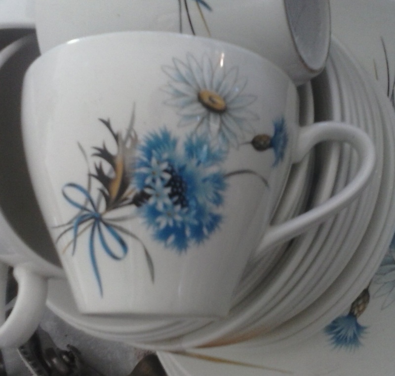 blue - 'Oakwood' plus 'Kelston Potteries' Daisy and blue cornflower no namer ~ Cam00714