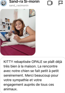 NOUVELLES D'OPALE ex KITTY (89470) ADOPTEE LE 3 JUILLET 2022 Kitty_10