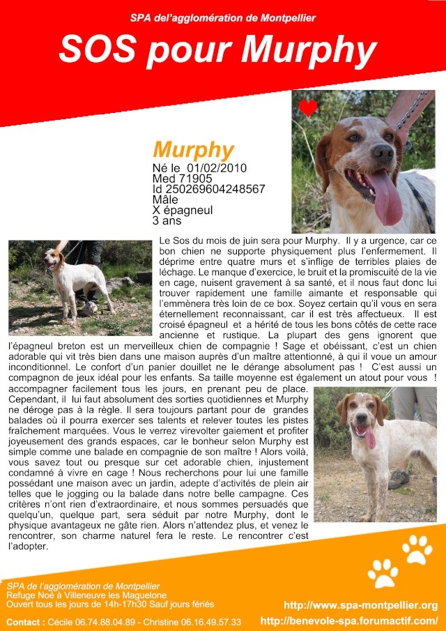 SOS pour Murphy Sos_mu10