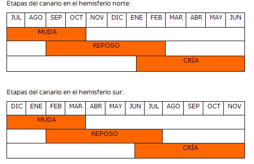 * Temporadas en los Canarios Sin_ta11