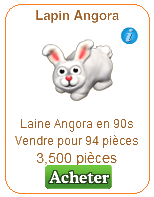 Lapin Angora Lapin_10